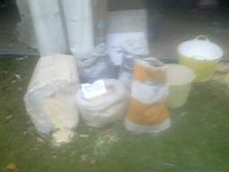 igs 2011 farmleigh 1545.jpg